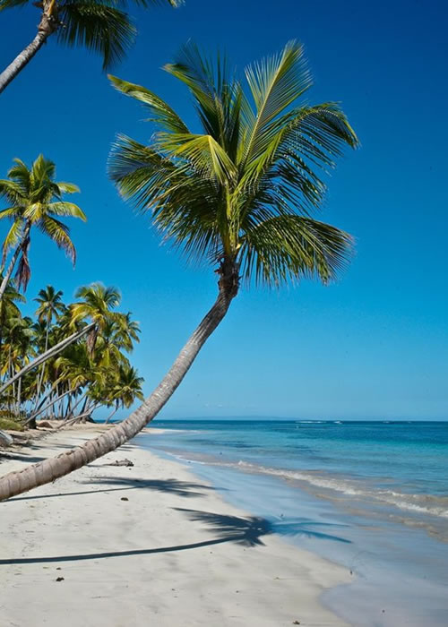 Caribe